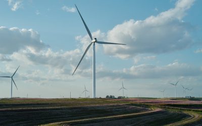 18 States Sue Over Trump’s Halting of Wind Power Projects
