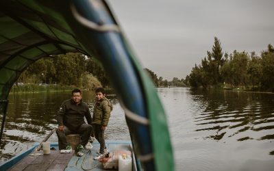At the Biennale in Venice, a Fantasy Island Imported from Mexico