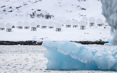 Intelligence Agencies Increase Focus on Greenland, U.S. Officials Say