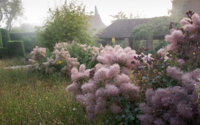 The 25 Gardens You Must See
